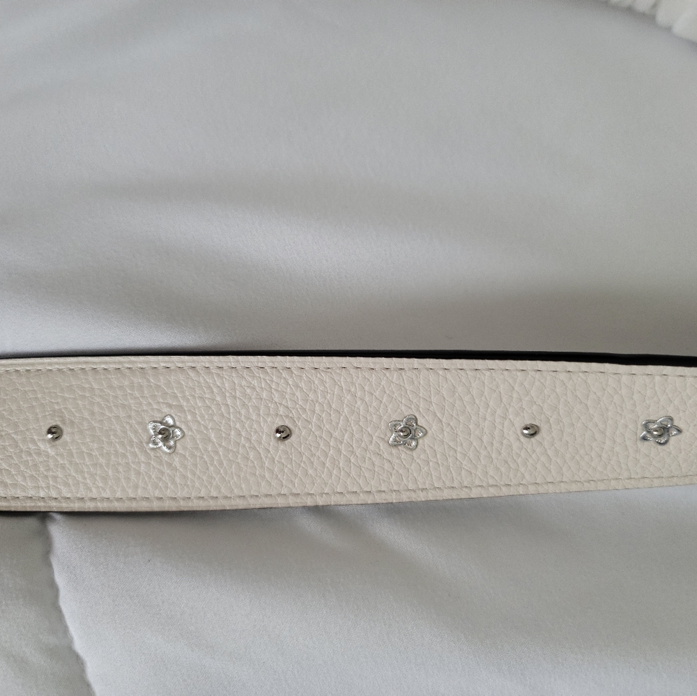 Luggage or purse strap